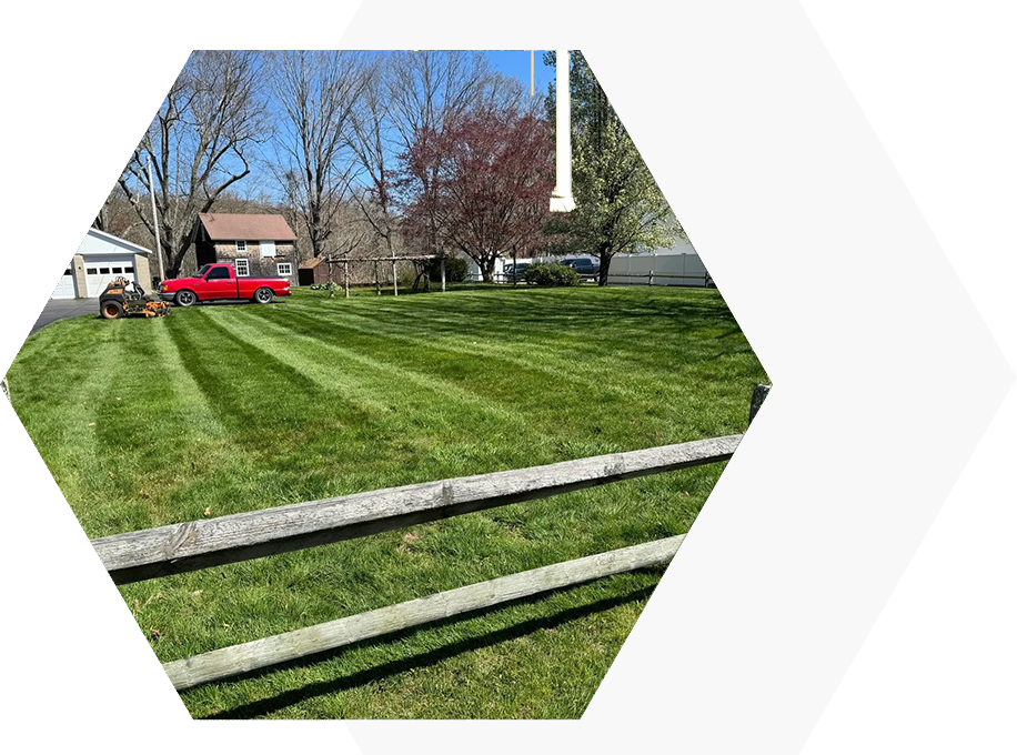 A red truck parked in the grass near some trees.