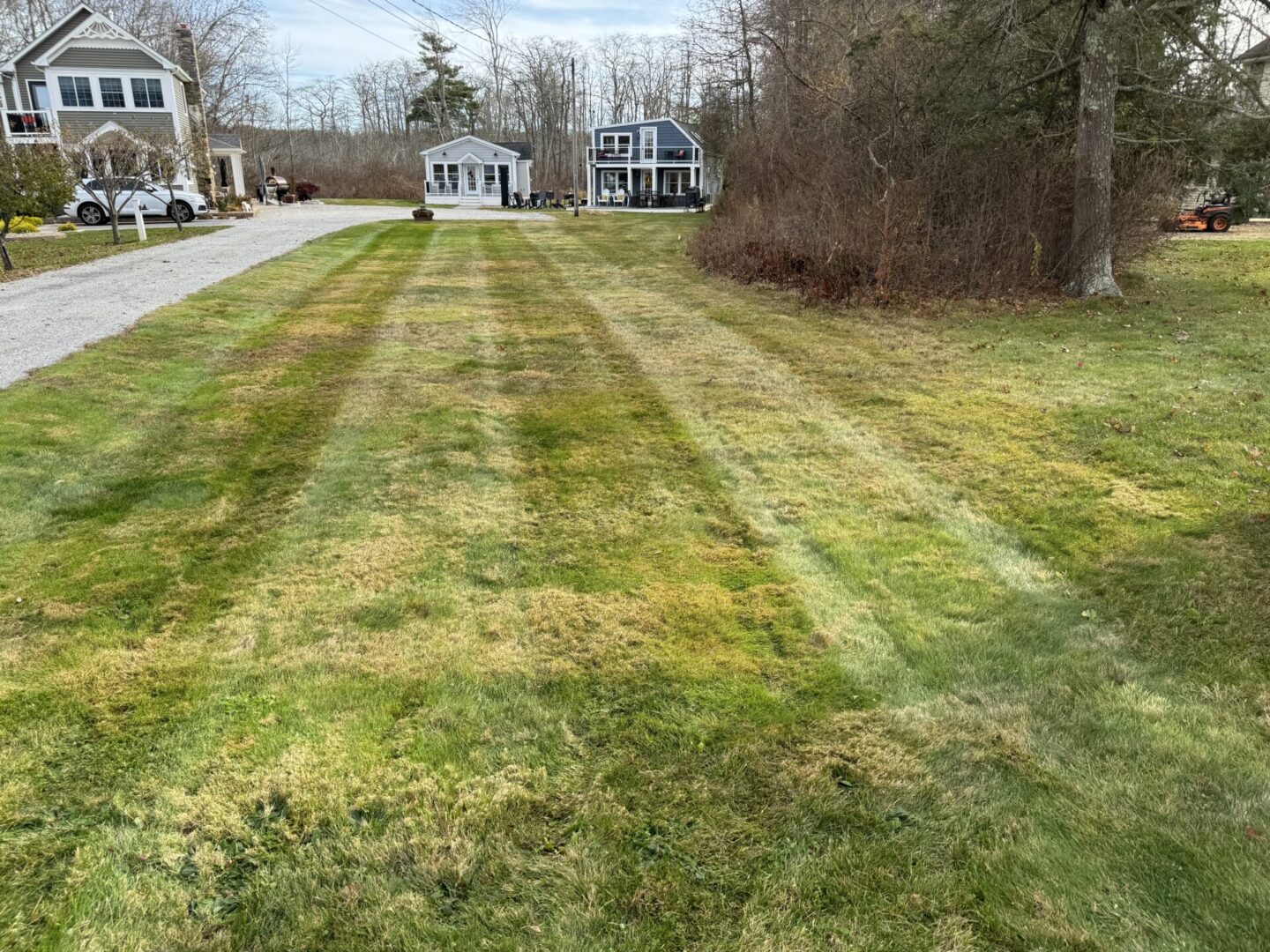 A lawn that has been cut and is ready for mowing.