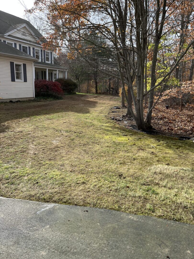 A yard with grass and trees in the background.