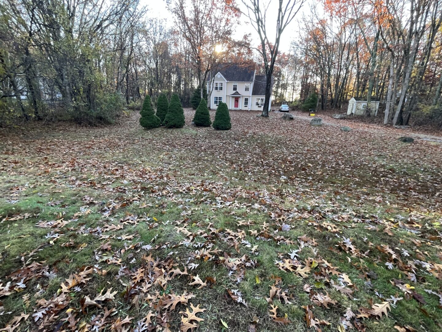 A house with trees and bushes in the background