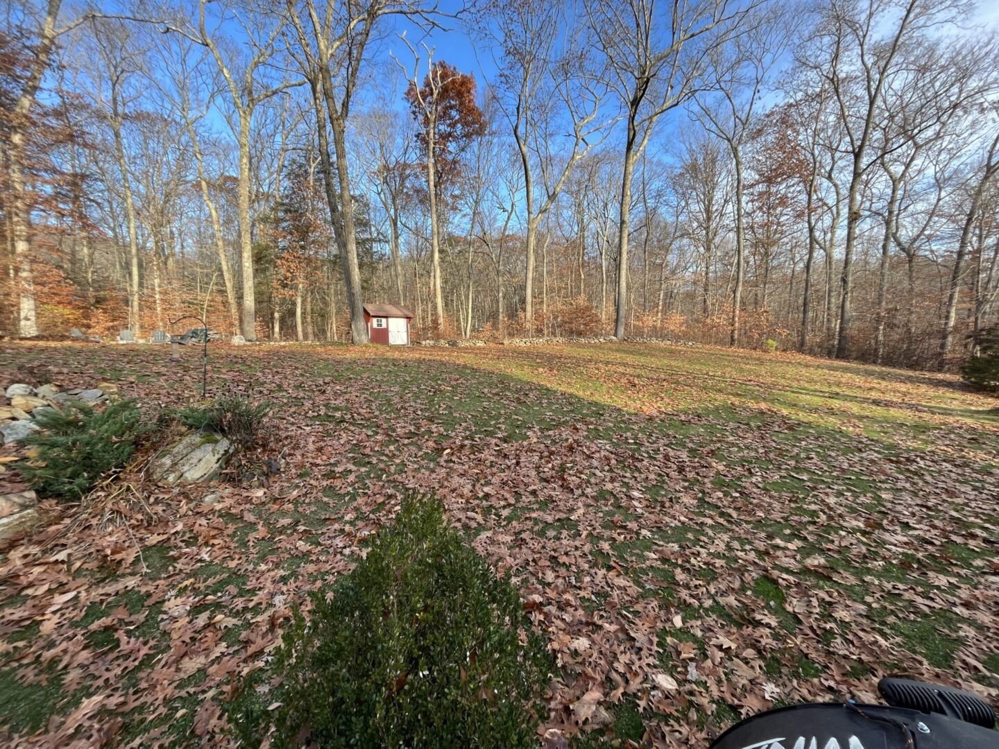 A view of the woods from behind a motorcycle.