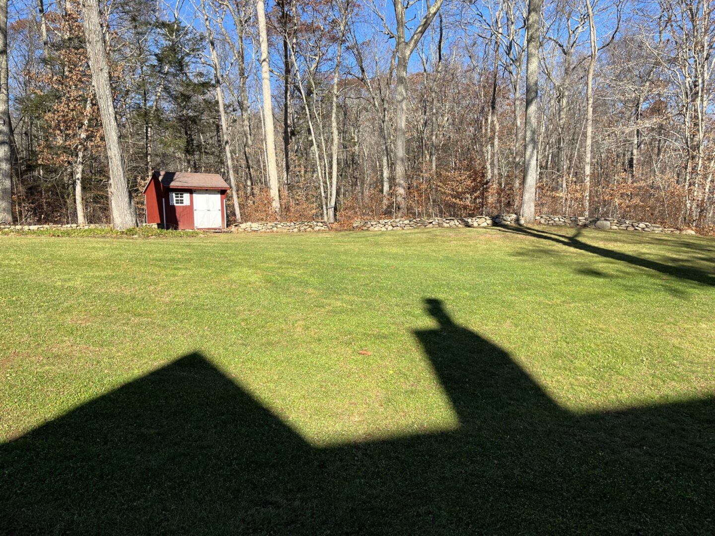 A person 's shadow on the grass near trees.