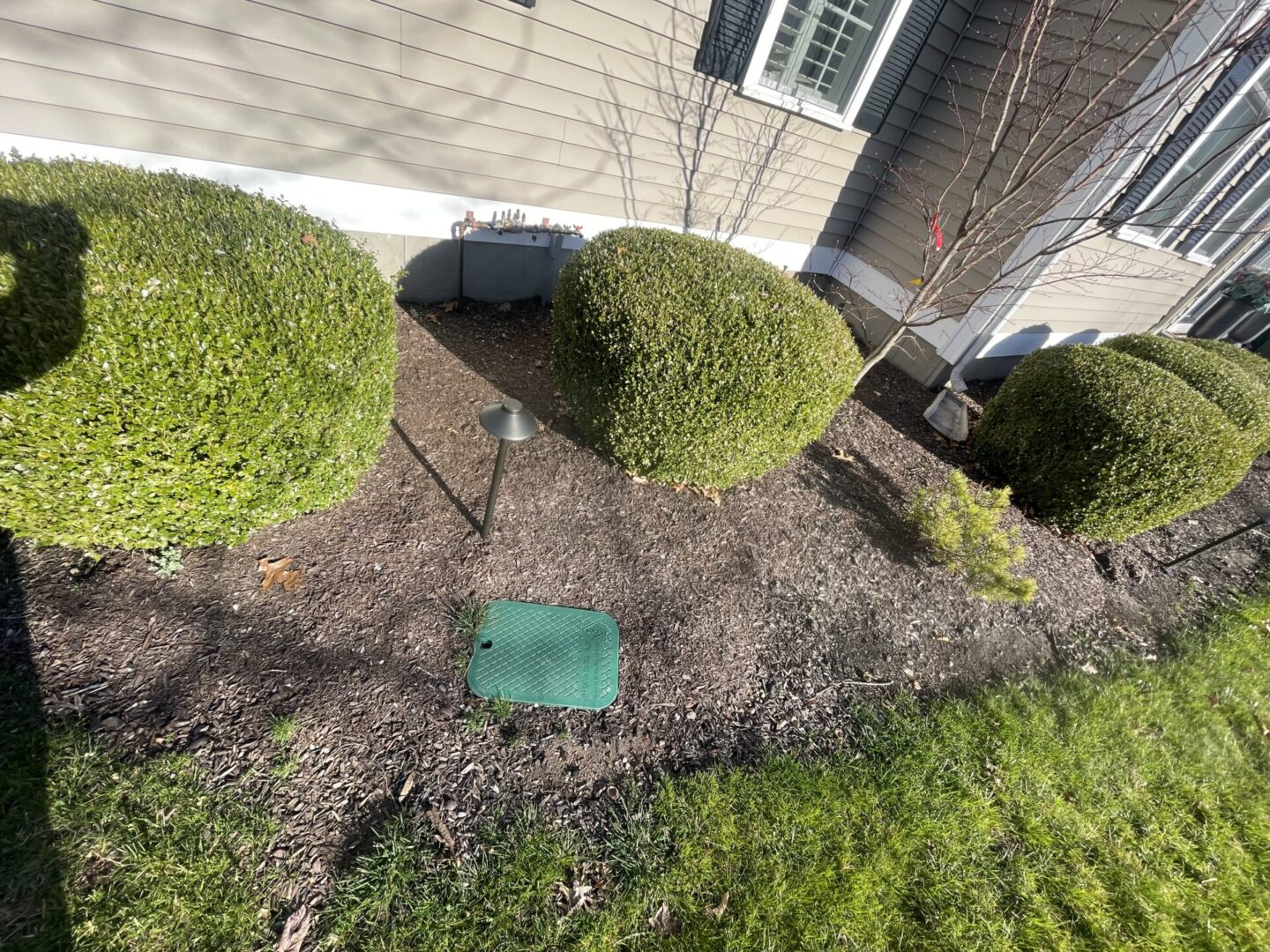 A green box sitting on top of a lawn.