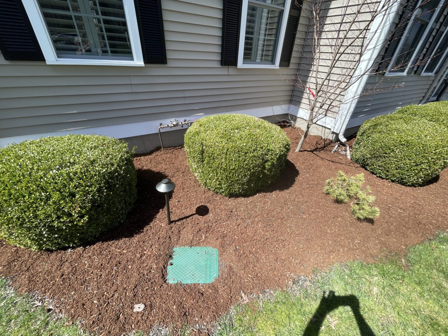 A green box sitting in the middle of some bushes.