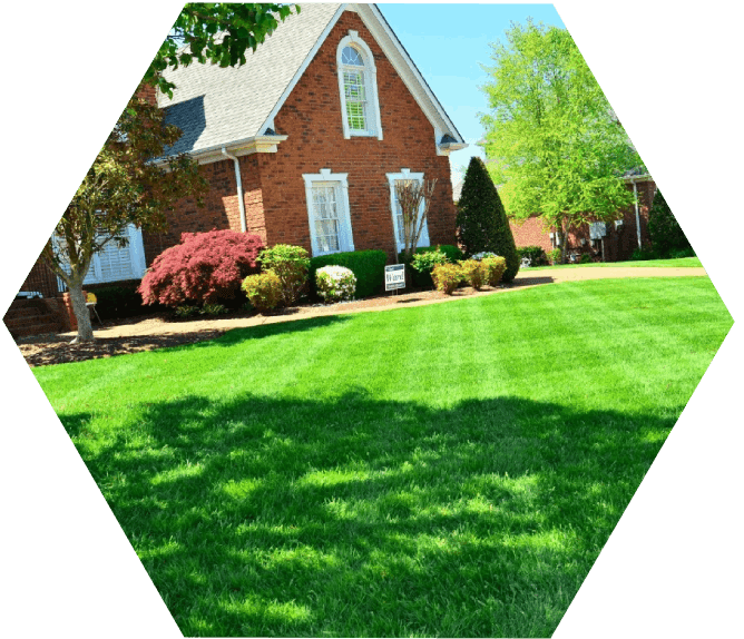 A house with green grass in front of it.